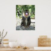 Poster Baboon (Cuisine)