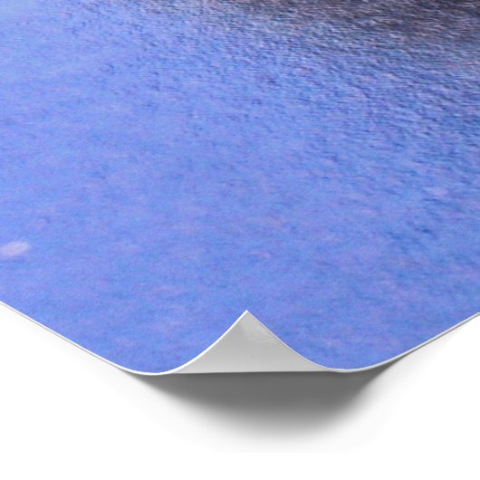 Poster Baboon assis (Coin)