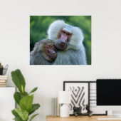 Poster Baboon de l'appel d'offres (Bureau à domicile)