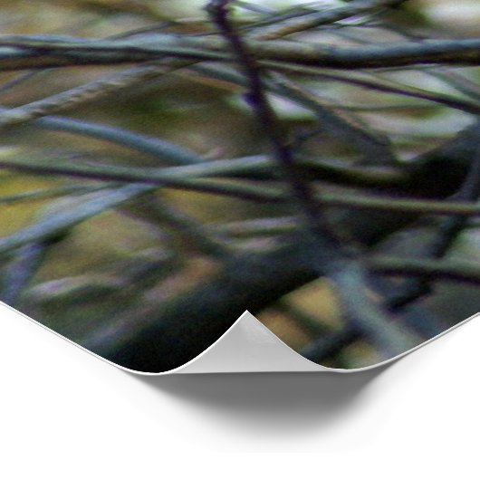 Poster Baboon noir (Coin)