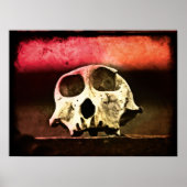 Poster Baboon Skull Sunset Art (Devant)