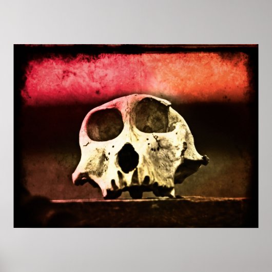 Poster Baboon Skull Sunset Art (Devant)