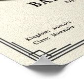 Poster Baboon Zoology Series (Coin)