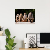 Poster Baboons et jeunes vacances (Bureau à domicile)