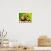 Poster babouins de Guinée (Cuisine)