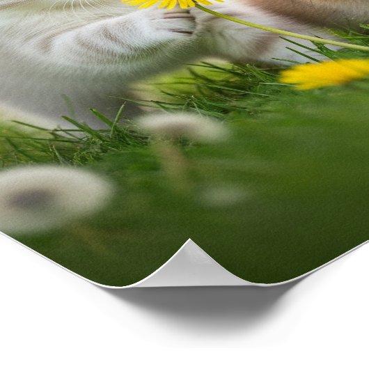 Poster Baby à fourrure de prairie (Coin)