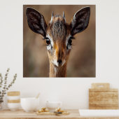 Poster Baby Antelope (Cuisine)