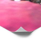 Poster Baby Batfish (Coin)