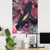 Poster Baby Batfish (Bureau à domicile)