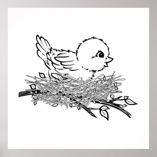 Poster Baby Bird In Nest (Devant)
