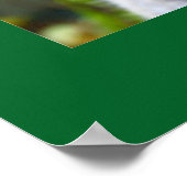 Poster "Baby Blues" Koala (Coin)