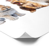 Poster Baby Bunny Lapin Nursery (Coin)