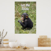 Poster Baby Chimpanzee | Pan Troglodytes (Cuisine)