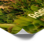 Poster Baby Chipmunks Animal Art Personnalisé (Coin)