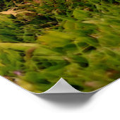 Poster Baby Chipmunks Faune Animal Art (Coin)