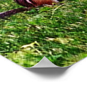 Poster Baby Chipmunks Premier Jour #6 Animal (Coin)