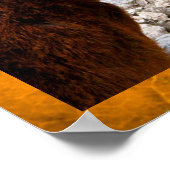 Poster Baby Deer (Coin)