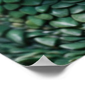 Poster Baby Dragon Imaginaire Art (Coin)