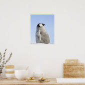 Poster Baby Empereur Penguin, île de Snow Hill (Cuisine)