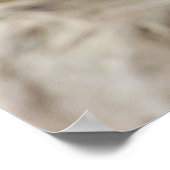 Poster Baby Giraffe (Coin)