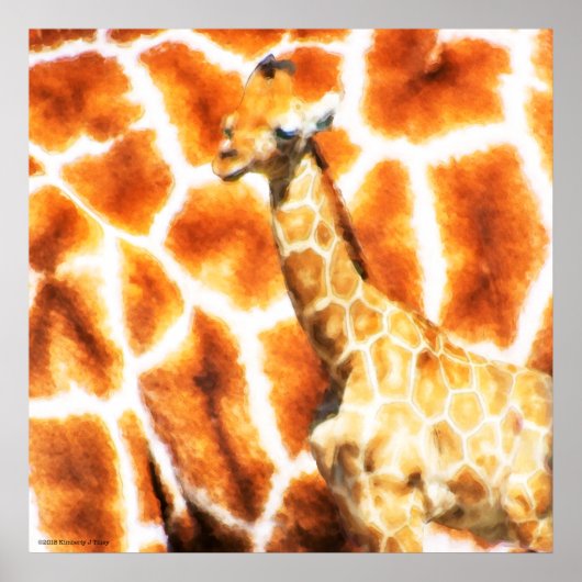 Poster Baby Giraffe (Devant)