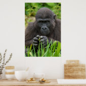 Poster Baby Gorilla (Cuisine)