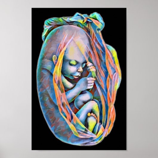 Poster Baby In The Womb L'Art Abstrait De L'Anatomie Huma (Devant)