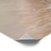 Poster Baby Koala (Coin)