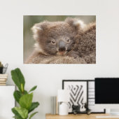 Poster Baby Koala (Bureau à domicile)