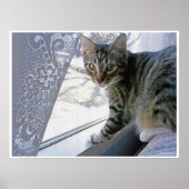 Poster Baby Max (Devant)