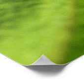 Poster Baby Palm Plante par Shirley Taylor (Coin)