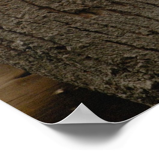 Poster Baby panda géant Ailuropoda melanoleuca) 3 (Coin)