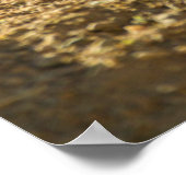 Poster Baby prairie chien mangeant, Arizona (Coin)