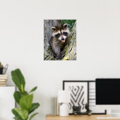 Poster Baby Raccoon (Bureau à domicile)