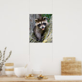 Poster Baby Raccoon (Cuisine)