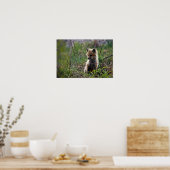 Poster Baby Red Fox (Cuisine)