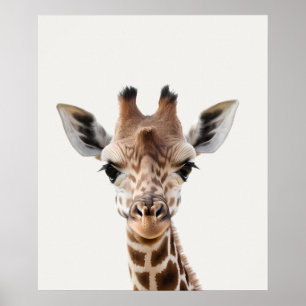 Poster Baby Safari Africain Jungle Animaux Giraffe