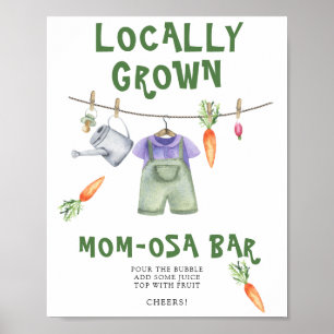 Poster Baby shower à base de produits locaux - Bar Momosa