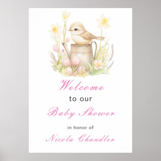 Poster Baby shower d'arrosage des oiseaux de printemps (Devant)