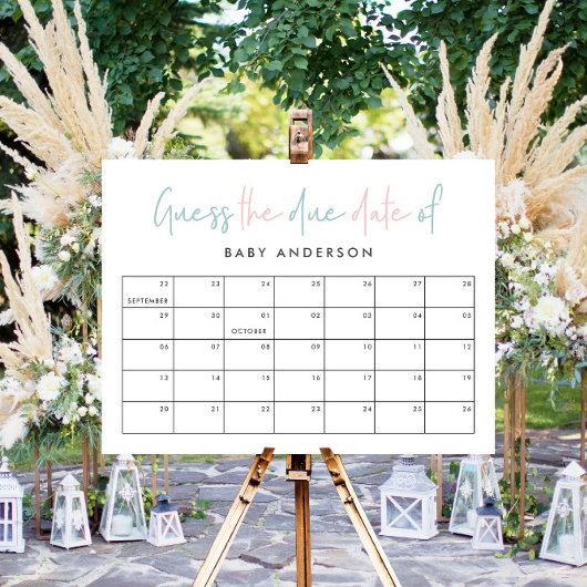 Poster Baby shower jumeau rose bleu moderne typographie