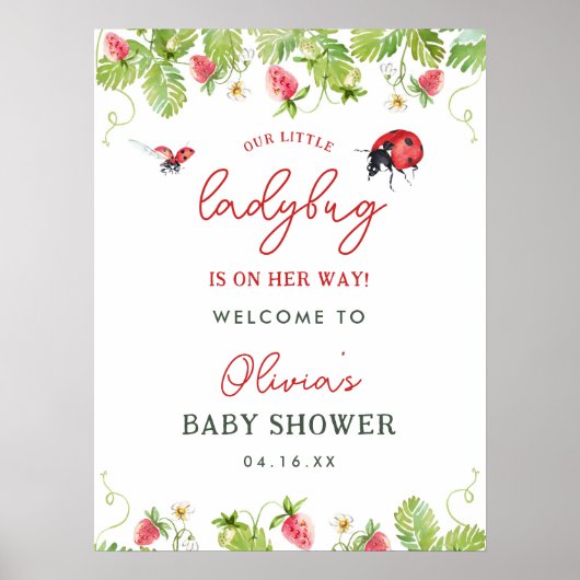 Poster Baby shower Spring Little Ladybug Girl Welcome (Devant)