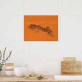 Poster Baby Tokay Gecko (Cuisine)