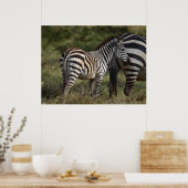 Poster Baby Zebra en Afrique (Cuisine)