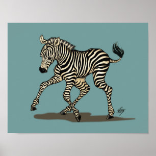 Poster Baby zebra on blue background