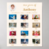 Poster Baby's First Year 1st Birthday Photo Milestone (Devant)