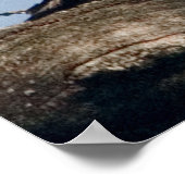 Poster Bac à canard de bois en chêne (Coin)