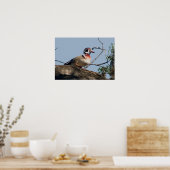 Poster Bac à canard de bois en chêne (Cuisine)