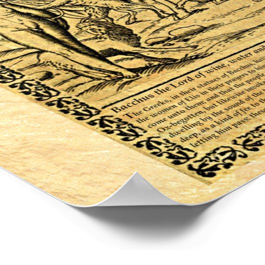 POSTER BACCHUS (Coin)