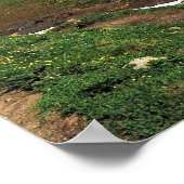 Poster Bachalpsee (Coin)