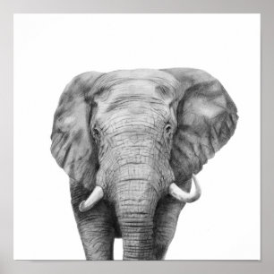 Poster Back Up Plan IV